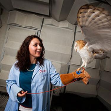 A large owl with its wings outstretched perches on the gloved hand of a student.