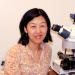 Dr. Yi Zuo sitting at a microscope
