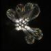 Dynamic networks in hair cells