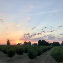 Willamette Valley