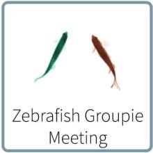 Zebrafish Groupie Meeting