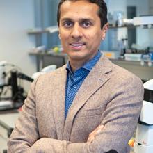 Portrait of Dr. Pavan Ramdya, courtesy of EPFL