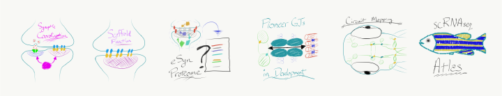 Miller Lab Projects