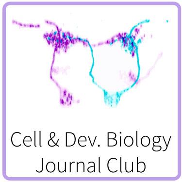 Cell Dev Bio Journal Club