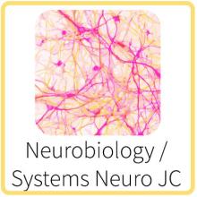 Neurobiology JC